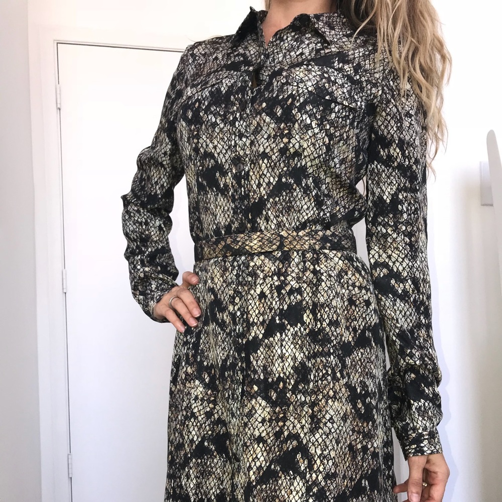 Theory Print shirt Dress